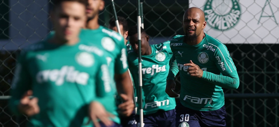Volante defende, atualmente, as cores do Palmeiras Divulgação/Palmeiras